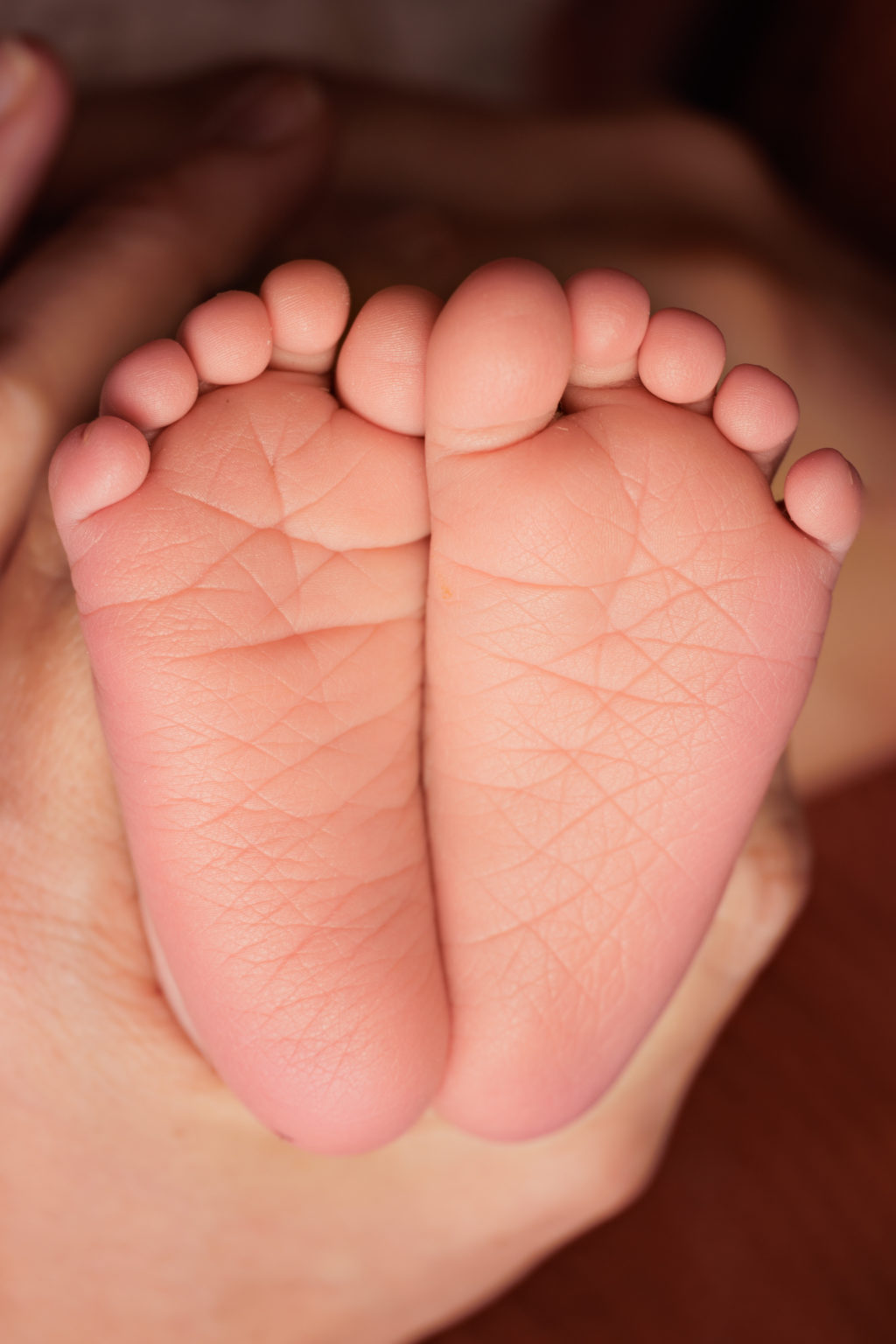 Gros plan sur les pieds d’un nouveau-né, tenus dans la main d’un adulte